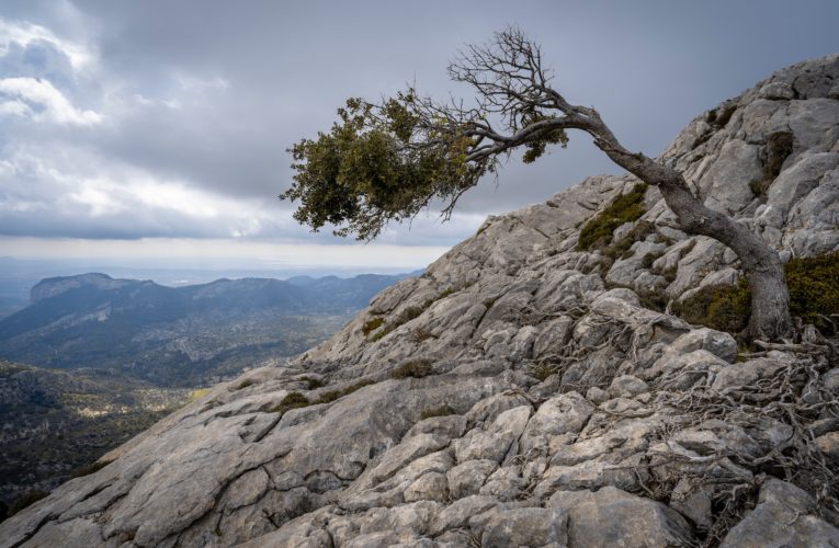 New Fairview: The Importance of Resilience in Overcoming Trauma