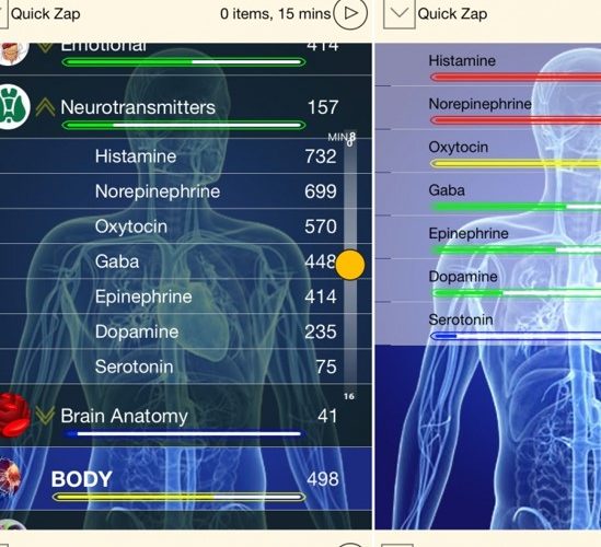 Unlock Your Body’s Healing Frequencies: Explore Frequency Medicine in New Fairview